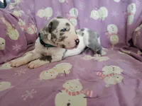 processed/46318c66-d189-4f54-8e36-9830655328e6/listing/2ca7fb43-37fa-4a68-b460-4fe2cea79f87/5e516a7d-1718-49d0-8bc8-abccabb87348