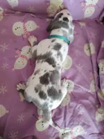 processed/46318c66-d189-4f54-8e36-9830655328e6/listing/2ca7fb43-37fa-4a68-b460-4fe2cea79f87/cb518dce-d519-4771-9e5c-36915c187260