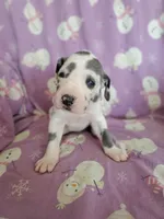 processed/46318c66-d189-4f54-8e36-9830655328e6/listing/2ca7fb43-37fa-4a68-b460-4fe2cea79f87/e2c40b8a-7f51-4c8c-a248-33361877f68b