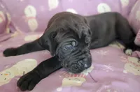 processed/46318c66-d189-4f54-8e36-9830655328e6/listing/5100e7a8-949a-4760-a153-62673f1d8e12/588f4242-fef0-4c8b-ac78-0724505c4731