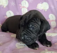 processed/46318c66-d189-4f54-8e36-9830655328e6/listing/5100e7a8-949a-4760-a153-62673f1d8e12/60082ac5-74c2-4728-a494-09b123163be0