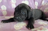 processed/46318c66-d189-4f54-8e36-9830655328e6/listing/5100e7a8-949a-4760-a153-62673f1d8e12/726c6474-d638-48ee-9009-2bd196235af2