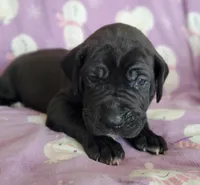 processed/46318c66-d189-4f54-8e36-9830655328e6/listing/5100e7a8-949a-4760-a153-62673f1d8e12/80d321fe-1a4b-4a1e-8119-803959fe8781