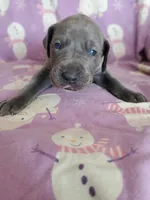 processed/46318c66-d189-4f54-8e36-9830655328e6/listing/57af37b2-df03-45d2-ba62-66e514e25534/63c7c59b-e406-4db0-bde5-e9162a96f38e