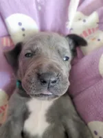 processed/46318c66-d189-4f54-8e36-9830655328e6/listing/57af37b2-df03-45d2-ba62-66e514e25534/6620068a-020b-44c7-a2d8-be0ab7636c48