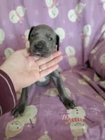 processed/46318c66-d189-4f54-8e36-9830655328e6/listing/57af37b2-df03-45d2-ba62-66e514e25534/91eafb25-cc43-41f9-88db-cd7e1cc55fd1