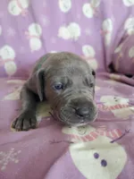 processed/46318c66-d189-4f54-8e36-9830655328e6/listing/57af37b2-df03-45d2-ba62-66e514e25534/9afc13e6-1997-40fc-9acd-583059b28028