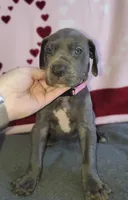 processed/46318c66-d189-4f54-8e36-9830655328e6/listing/5b4bf4bb-3ac0-4161-b5aa-8a340178d18f/0fac268a-3774-43c3-be12-67edb058eb65