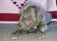 processed/46318c66-d189-4f54-8e36-9830655328e6/listing/5b4bf4bb-3ac0-4161-b5aa-8a340178d18f/ce316f82-8688-4571-99e0-625855505b87