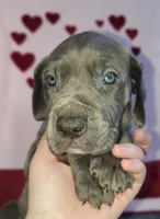 processed/46318c66-d189-4f54-8e36-9830655328e6/listing/5b4bf4bb-3ac0-4161-b5aa-8a340178d18f/f32f665b-6602-47b4-9005-613959f7f73a