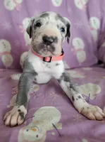 processed/46318c66-d189-4f54-8e36-9830655328e6/listing/84a3a564-9ed3-44b2-9997-06d7cc8e0781/343f084f-ac8b-46ce-8bee-0bd74f1abd82