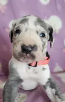 processed/46318c66-d189-4f54-8e36-9830655328e6/listing/84a3a564-9ed3-44b2-9997-06d7cc8e0781/a0ffc8d8-48c0-4b24-892e-2f3d71e09ea7