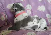 processed/46318c66-d189-4f54-8e36-9830655328e6/listing/84a3a564-9ed3-44b2-9997-06d7cc8e0781/cb11af24-96d4-47ce-9535-82033ed854dc