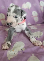 processed/46318c66-d189-4f54-8e36-9830655328e6/listing/84a3a564-9ed3-44b2-9997-06d7cc8e0781/db4f1fd8-38f1-4b32-a816-d0bda188a886