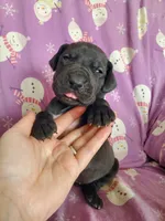 processed/46318c66-d189-4f54-8e36-9830655328e6/listing/93374388-a8d2-4162-8846-9be8369d8fad/6ffc9727-b6d9-4254-9521-a20cb6eabd7d