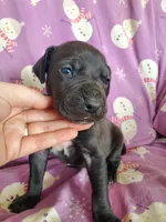 processed/46318c66-d189-4f54-8e36-9830655328e6/listing/93374388-a8d2-4162-8846-9be8369d8fad/a3d11f24-770f-4e8b-8e49-2a7f84d3a5cd