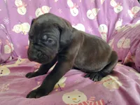 processed/46318c66-d189-4f54-8e36-9830655328e6/listing/93374388-a8d2-4162-8846-9be8369d8fad/c3ded6b2-dd99-4f00-a1d7-16eed2bdf128