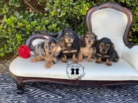 processed/463191a5-fc6f-4f58-935e-207ce1e31a7d/facility/1884a192-168d-4208-9b3c-98ca68471b05