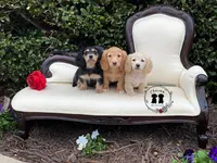 processed/463191a5-fc6f-4f58-935e-207ce1e31a7d/facility/3514734c-bb5c-44f1-88f0-d5071208cad4