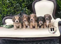 processed/463191a5-fc6f-4f58-935e-207ce1e31a7d/facility/7c5245f4-7a93-464b-bd59-dddcd6e0e8b4