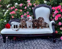 processed/463191a5-fc6f-4f58-935e-207ce1e31a7d/facility/c27ba93d-6a83-473e-9fa4-150a83b89547