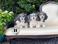 processed/463191a5-fc6f-4f58-935e-207ce1e31a7d/facility/fe63d08d-cb31-4d20-a509-ea522594e007