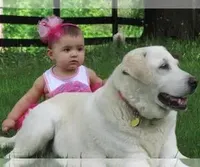 processed/4645d0d8-90ca-460c-8204-9b2c26a48e6f/facility/78f65ed7-c5bc-4cfa-8c94-5d0f772b06ea