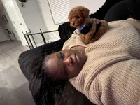 Milo, a male Miniature Goldendoodle for sale in Ocala, FL – Photo 9 of 10