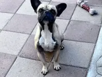 processed/4656ad52-3848-4518-a223-19d037d437c9/listing/2c20c603-be35-49c7-97be-6dbc45d4f275/f619c58c-3824-4b9c-bd6e-f7c8fbcaca4e