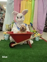 Blue (Bow) , a male Golden Retriever for sale in Somerset, PA – Photo 1 of 5