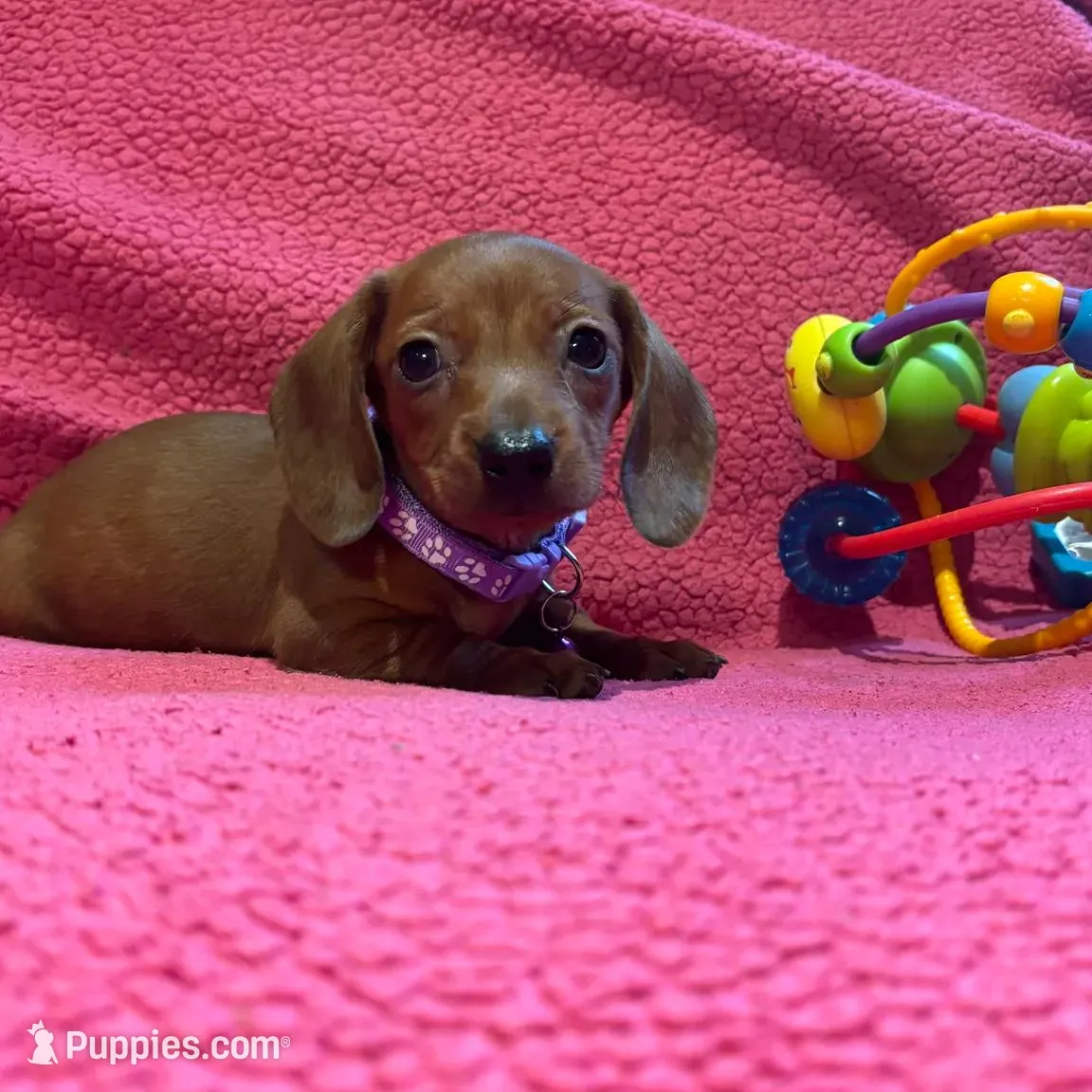 processed/467ad65f-a30b-458d-b2ba-14400aabc1fd/listing/34b1a5ce-7371-4cb1-9c57-258260c607ca/c550ef2d-a542-43ce-8f4b-62c314b22702/4b387ae7-5ef0-42b0-a984-ea527ca17016