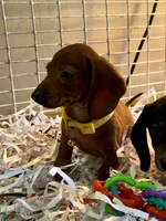 processed/467ad65f-a30b-458d-b2ba-14400aabc1fd/listing/c550ef2d-a542-43ce-8f4b-62c314b22702/a4db99e0-656d-4231-b3c4-b020b197f969