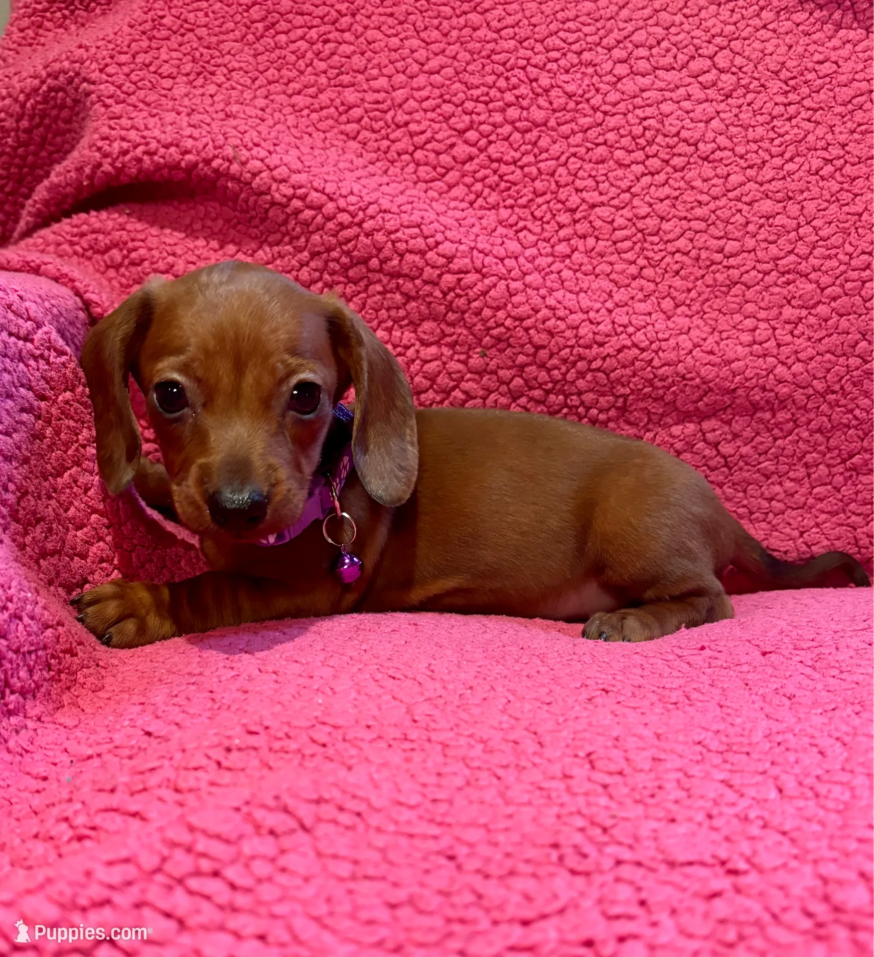 processed/467ad65f-a30b-458d-b2ba-14400aabc1fd/listing/c550ef2d-a542-43ce-8f4b-62c314b22702/a98f37f6-494b-494a-8845-2454b7bc0ee5