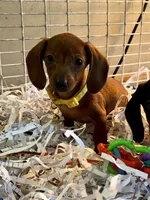 processed/467ad65f-a30b-458d-b2ba-14400aabc1fd/listing/c550ef2d-a542-43ce-8f4b-62c314b22702/c6c790d4-7b79-4e12-b65d-82c4b7f78937