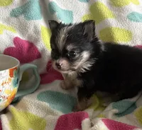 processed/467ef6cc-e17c-4c23-a2b8-4b03d88e4633/listing/0986f81f-4199-428d-a585-c5dd0e3bdad6/57311b35-176f-4778-91c0-fcd151bc64b8