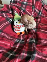 processed/467ef6cc-e17c-4c23-a2b8-4b03d88e4633/listing/1de3f5bd-4112-4415-b87e-a6c51af3d775/807c9d21-5973-44e7-9b65-fe508e857f7f