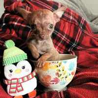 processed/467ef6cc-e17c-4c23-a2b8-4b03d88e4633/listing/1de3f5bd-4112-4415-b87e-a6c51af3d775/d34e5ce7-368b-4265-b337-303fe0aa9073