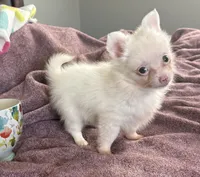 processed/467ef6cc-e17c-4c23-a2b8-4b03d88e4633/listing/df4f806a-5022-4c76-aef6-2d4c8215a6d7/0488ca7f-0482-4b4d-9f58-51f3dc6cb0fa