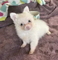 processed/467ef6cc-e17c-4c23-a2b8-4b03d88e4633/listing/df4f806a-5022-4c76-aef6-2d4c8215a6d7/9021dc0b-0d16-49c7-9eed-6ba08ef0d743