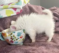 processed/467ef6cc-e17c-4c23-a2b8-4b03d88e4633/listing/df4f806a-5022-4c76-aef6-2d4c8215a6d7/93cab592-914f-4f66-9fad-f54fb204165b