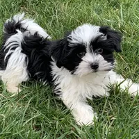 processed/468108b0-b5ce-4c2b-b609-98d2598c0f8a/facility/10727825-36ef-42b6-8a43-7bdf5a4363c2