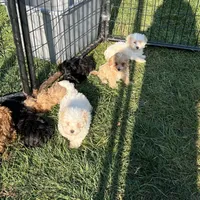 processed/468108b0-b5ce-4c2b-b609-98d2598c0f8a/facility/58ab5c2a-1b5c-4c9b-a075-d529b3bb0547