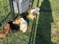 processed/468108b0-b5ce-4c2b-b609-98d2598c0f8a/facility/58ab5c2a-1b5c-4c9b-a075-d529b3bb0547