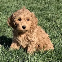 processed/468108b0-b5ce-4c2b-b609-98d2598c0f8a/facility/9f74fd49-3dc0-4bff-8d1f-98708f361224