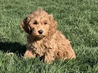 processed/468108b0-b5ce-4c2b-b609-98d2598c0f8a/facility/9f74fd49-3dc0-4bff-8d1f-98708f361224