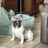 processed/468108b0-b5ce-4c2b-b609-98d2598c0f8a/facility/b14e7d30-ce7e-4a18-9622-6afc4e189948