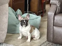 processed/468108b0-b5ce-4c2b-b609-98d2598c0f8a/facility/b14e7d30-ce7e-4a18-9622-6afc4e189948