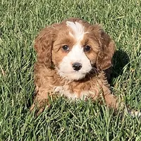 processed/468108b0-b5ce-4c2b-b609-98d2598c0f8a/facility/f64100ab-fef7-4c56-9175-148ce46f868c