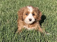 processed/468108b0-b5ce-4c2b-b609-98d2598c0f8a/facility/f64100ab-fef7-4c56-9175-148ce46f868c