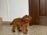 processed/468108b0-b5ce-4c2b-b609-98d2598c0f8a/listing/11969711-9671-4f74-9d9c-5df9b2b1b158/19576cb9-9150-4fbe-9977-a925d3851179